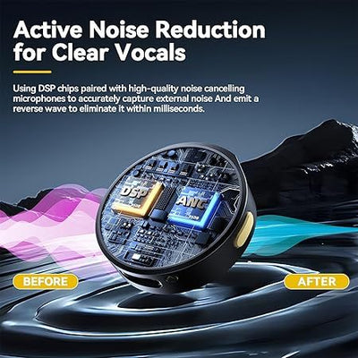 Wireless Microphone Kit